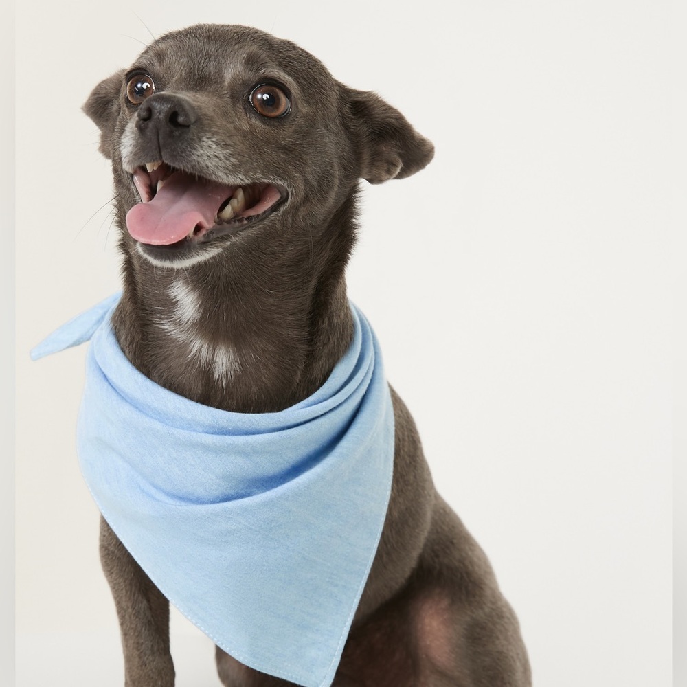 NWT Old Navy L-XL Chambray Dog Bandana